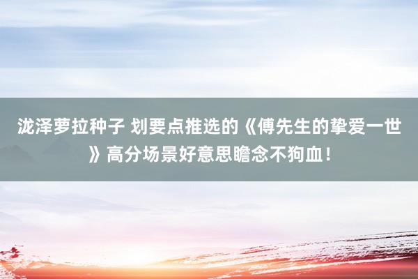 泷泽萝拉种子 划要点推选的《傅先生的挚爱一世》高分场景好意思瞻念不狗血！