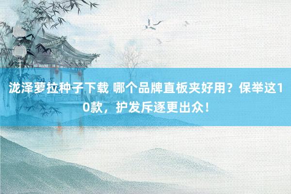 泷泽萝拉种子下载 哪个品牌直板夹好用？保举这10款，护发斥逐更出众！