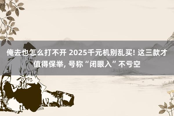 俺去也怎么打不开 2025千元机别乱买! 这三款才值得保举， 号称“闭眼入”不亏空