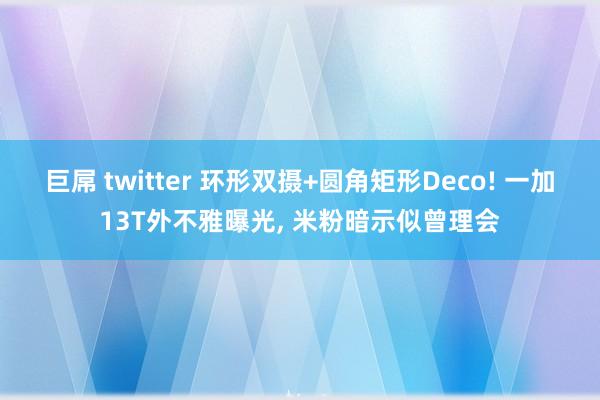 巨屌 twitter 环形双摄+圆角矩形Deco! 一加13T外不雅曝光， 米粉暗示似曾理会