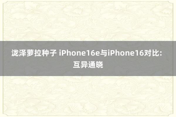泷泽萝拉种子 iPhone16e与iPhone16对比: 互异通晓