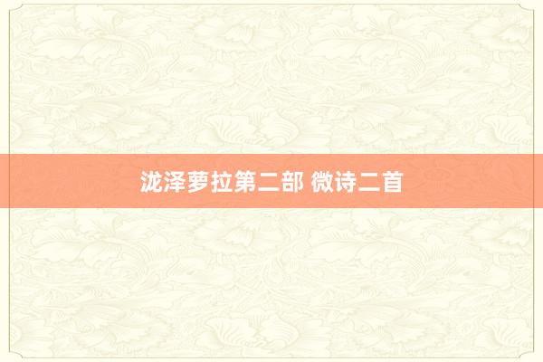 泷泽萝拉第二部 微诗二首