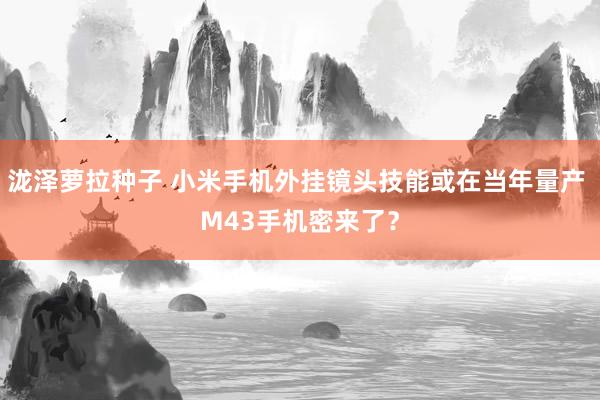 泷泽萝拉种子 小米手机外挂镜头技能或在当年量产 M43手机密来了？