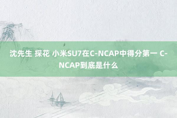沈先生 探花 小米SU7在C-NCAP中得分第一 C-NCAP到底是什么