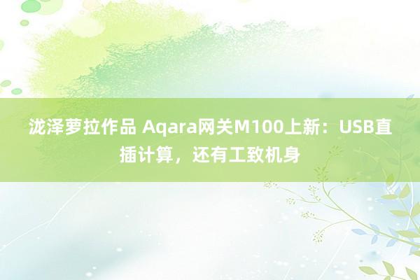 泷泽萝拉作品 Aqara网关M100上新：USB直插计算，还有工致机身