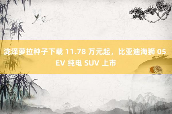 泷泽萝拉种子下载 11.78 万元起，比亚迪海狮 05 EV 纯电 SUV 上市